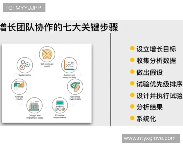 杭州篮球队团队协作的成功之道与战术分析探讨